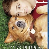 インディ ジョーンズ クリスタル スカルの王国 日本語吹替版 パンダスタジオ 株式会社pandastudio Tv 公式web サイト